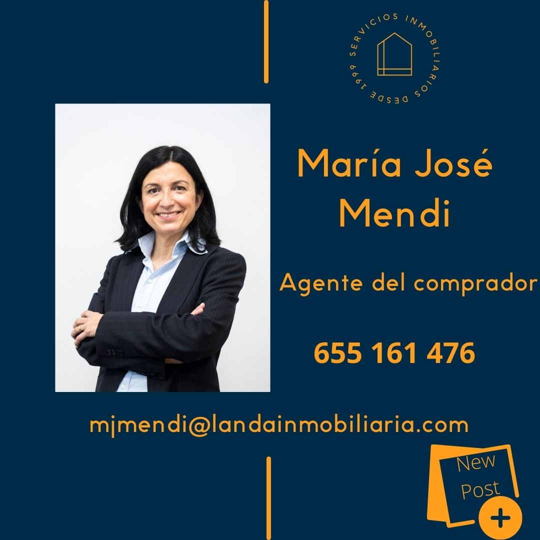 María José Mendi